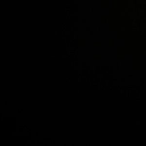 Meet your Posher, Mogulsnkrs